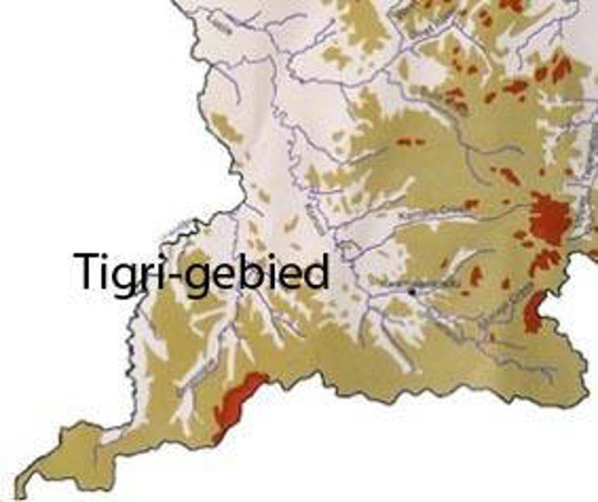 Tigri: Het verloren grondgebied van Suriname?