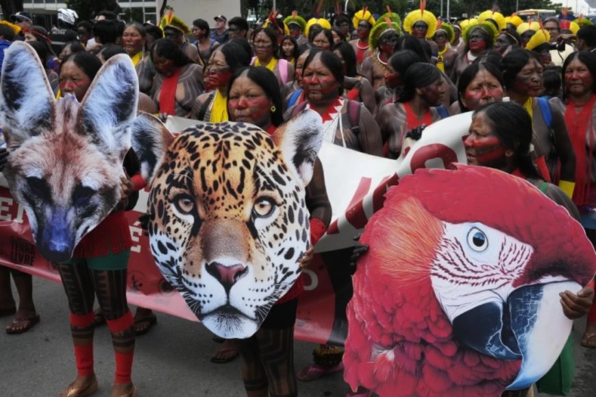 Inheemsen marcheren in Braziliaanse hoofdstad tegen wetsvoorstel om landrechten te beperken