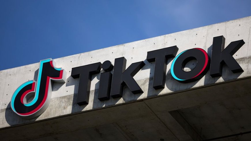 Families klagen TikTok aan om problemen bij hun kinderen