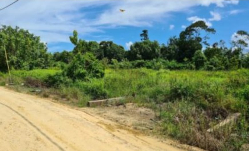 Grondzaken in Suriname: een familie in de knel