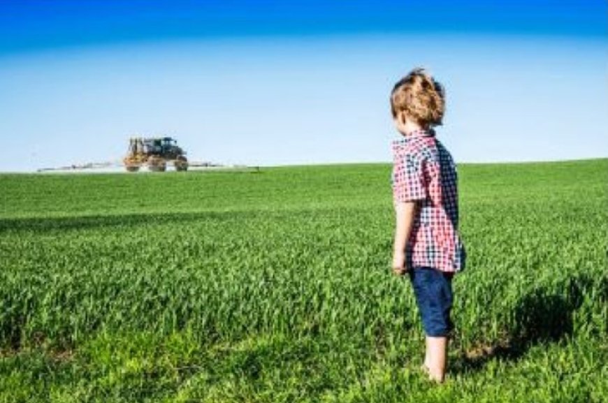 De gevaarlijke impact van pesticiden op onze hersenen