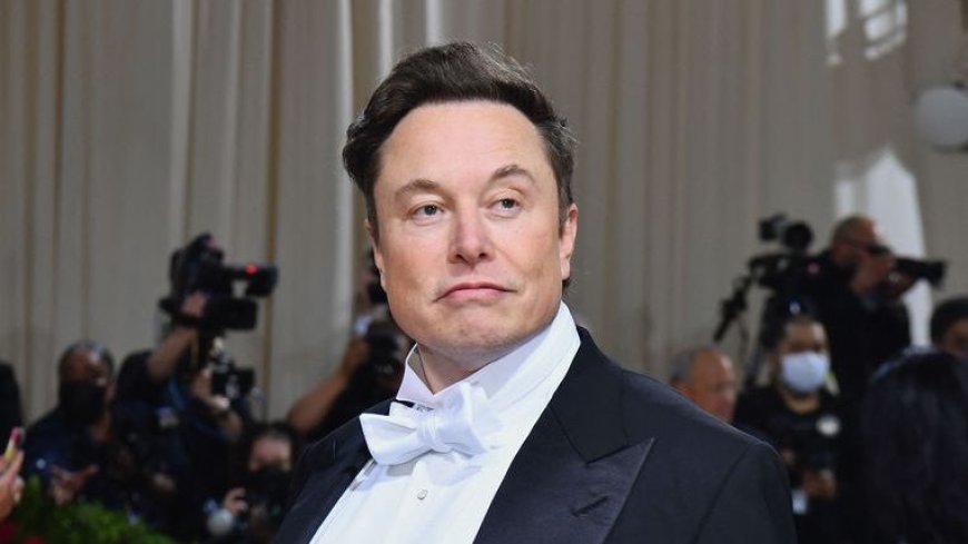 Elon Musk heeft gesprek met Iraanse VN-ambassadeur