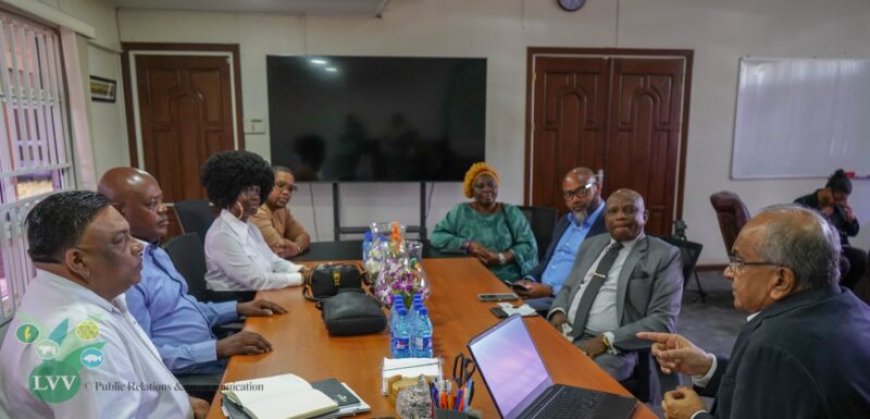 Nigeriaanse investeerders zien potentie voor cassave-export