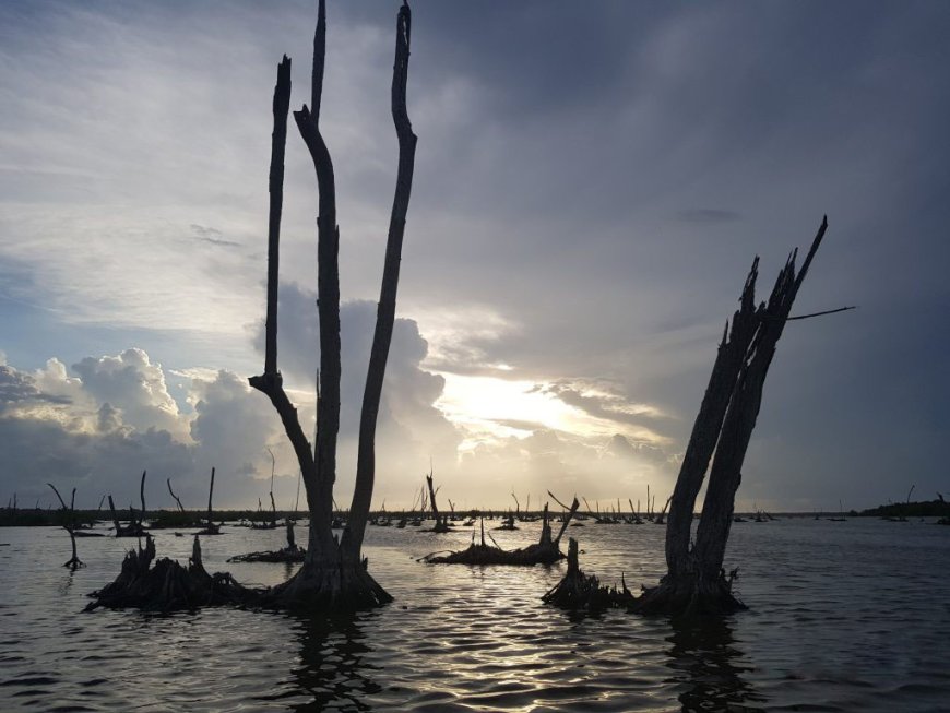 Parlementariër Tarnadi vraagt aandacht voor behoud natuurreservaten