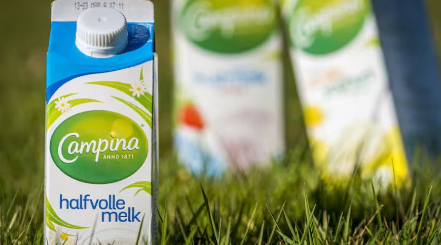 FrieslandCampina schrapt 186 banen en sluit vestiging in Born