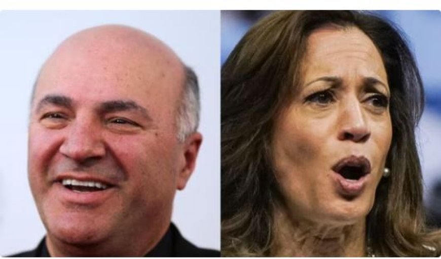 Kevin O’Leary Bekritiseert Kamala Harris Als ‘Gebroken Kandidaat’.