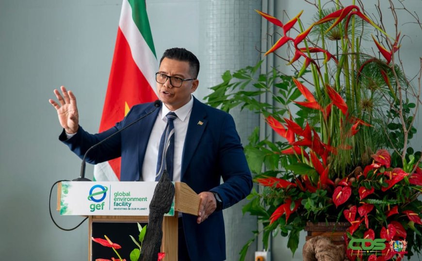 Suriname kan USD 80 miljoen ontvangen voor carbon credits