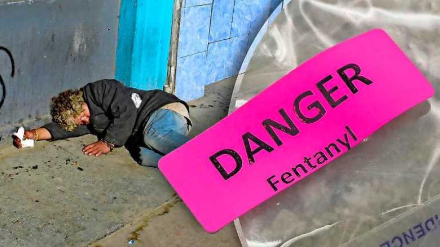 Mexicaans drugskartel ronselt kwetsbare scheikundestudenten voor productie fentanyl’Je verdwi