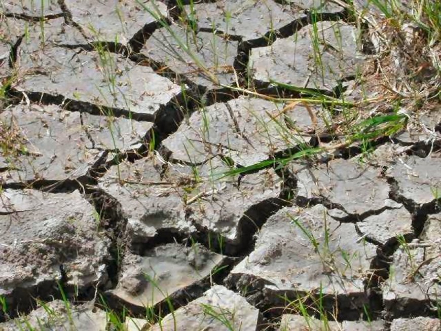 Waterpeil Naniverdeelwerk daalt, boeren moeten zuinig omgaan met water