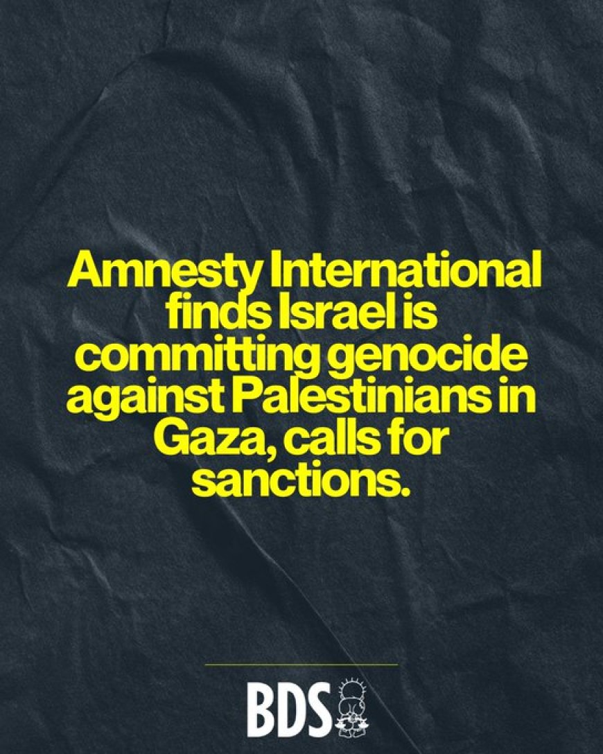 Amnesty Beschuldigt Israël van Genocide in Gaza**