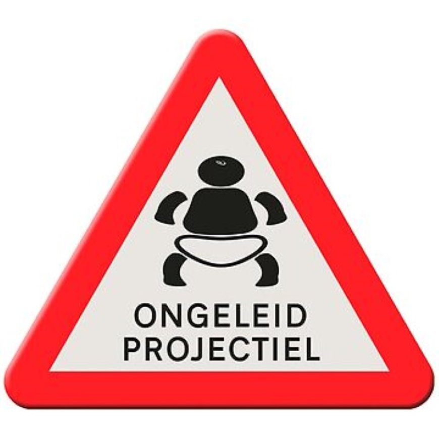 De ongeleide projectiel show: Politiek in de ether