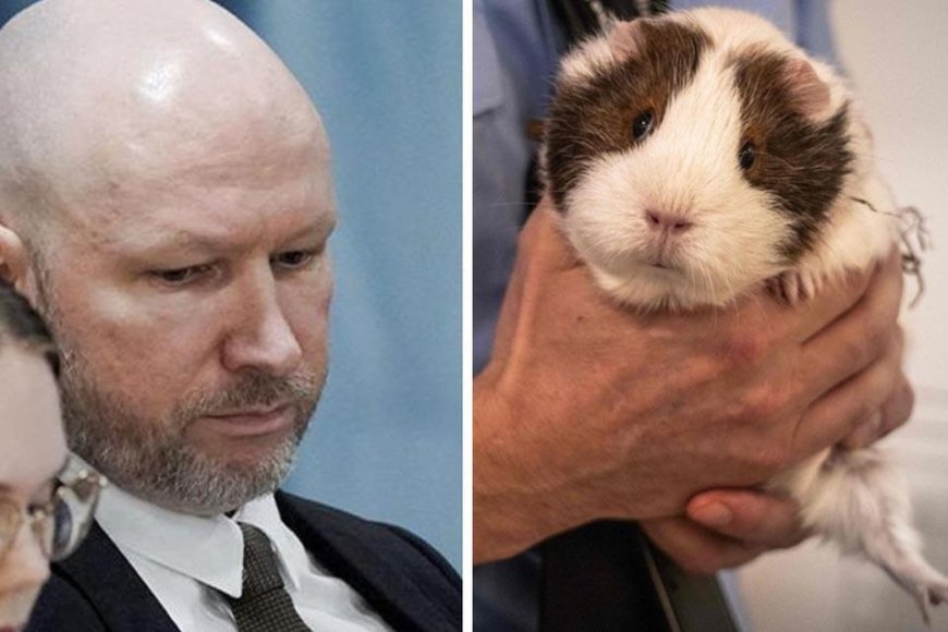 Noorse massamoordenaar Anders Breivik krijgt twee cavia’s in zijn cel