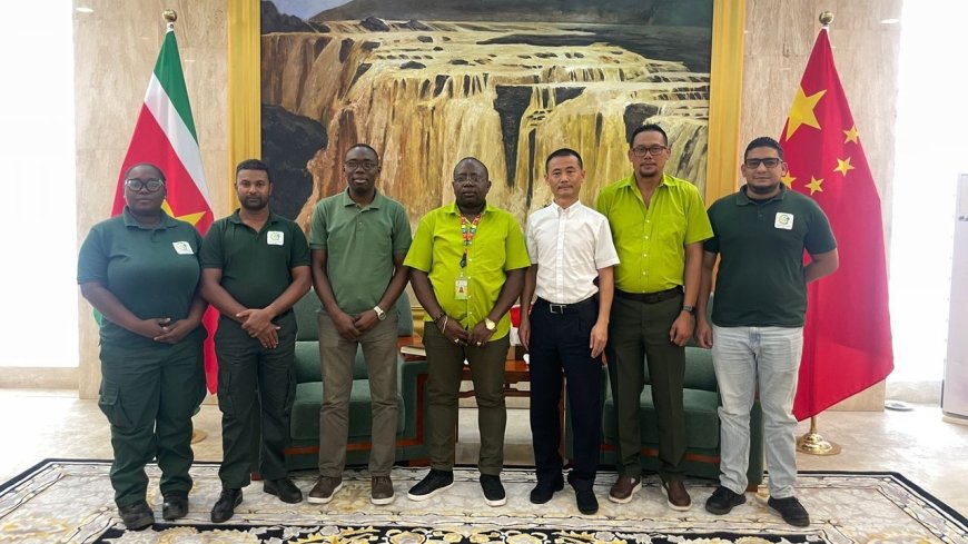 SBB bespreekt tegengaan houtsmokkel tijdens beleefdheidsbezoek aan Chinese ambassade