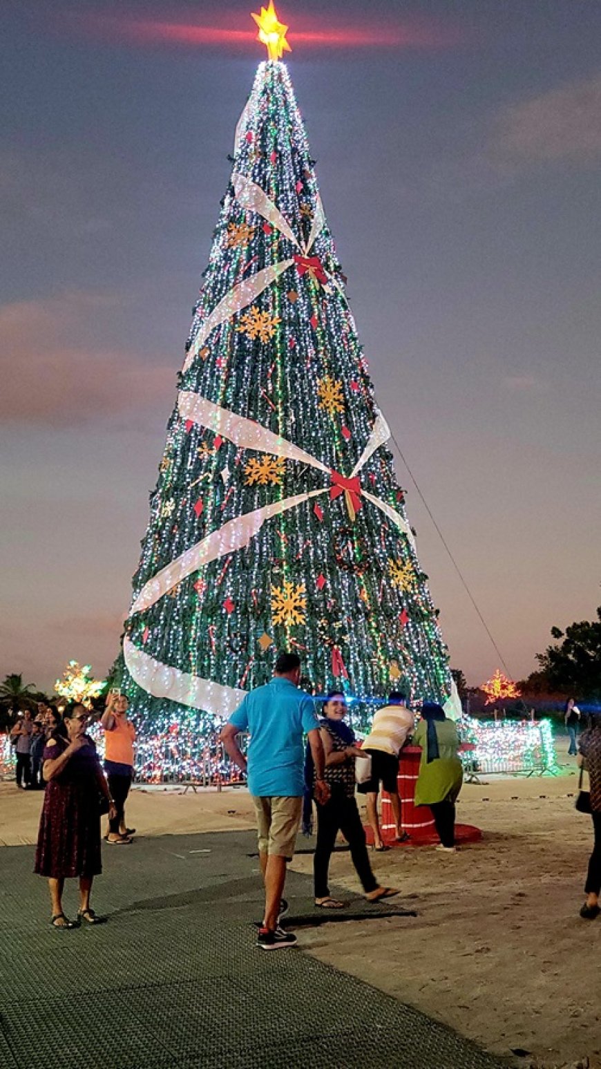 Reuze kerstboom in Wanica: ‘Het is een voorrecht om terug te kunnen geven’