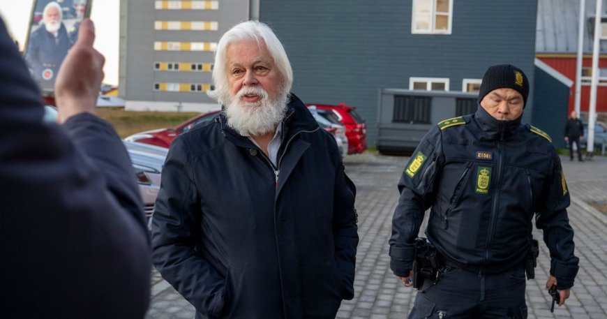 Sea Shepherd-oprichter Paul Watson vrijgelaten nadat Denemarken zijn uitlevering weigerde