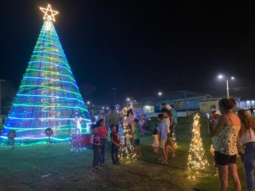 Grote belangstelling voor kerstboom Nickerie