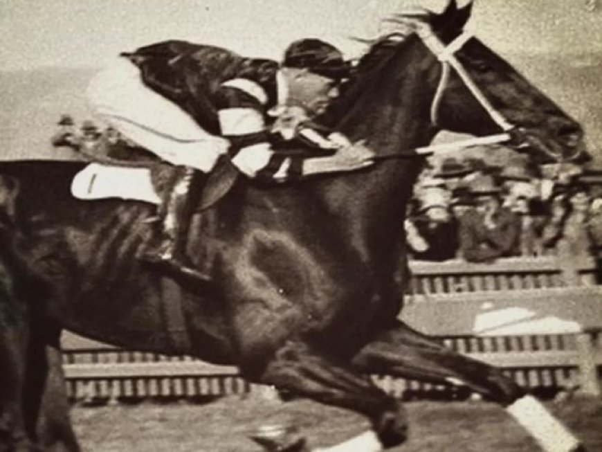 WIST U DAT: De Ierse jockey Hayes in 1923 tijdens een race overleed op zijn paard?