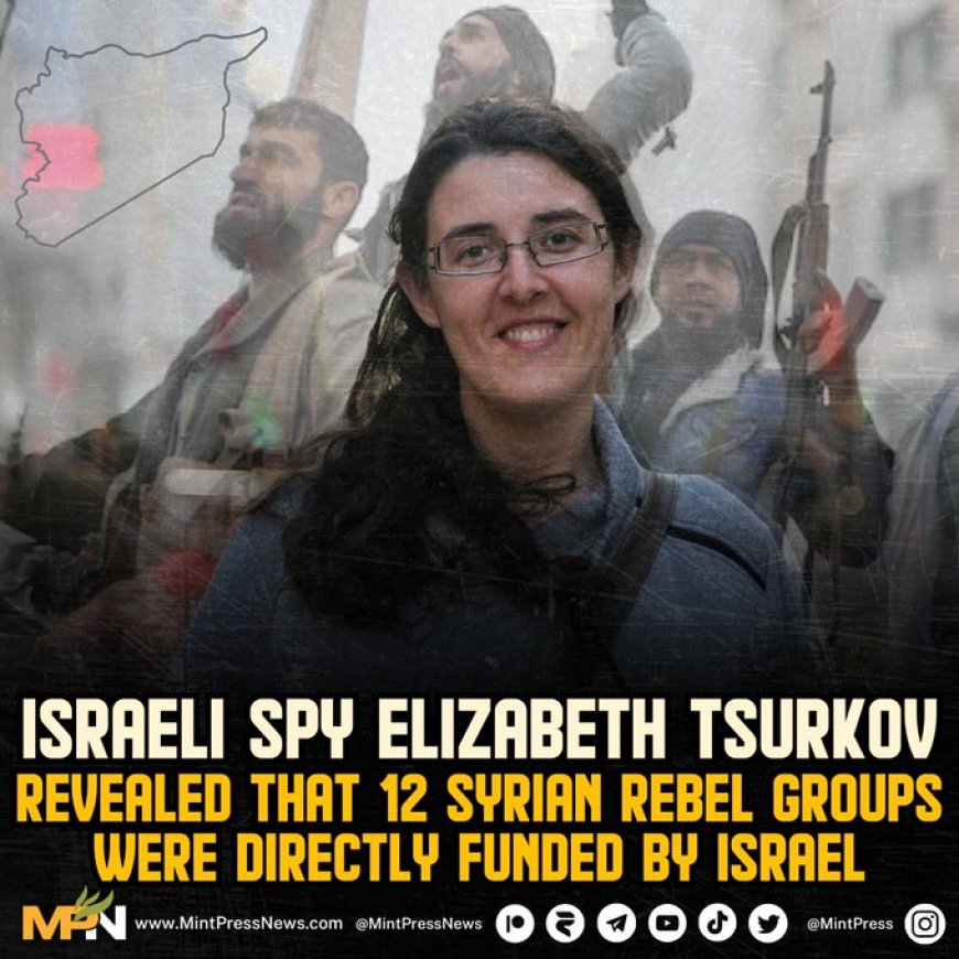 Israëlische spion Elizabeth Tsurkov onthulde dat 12 Syrische rebellengroepen rechtstreeks doo