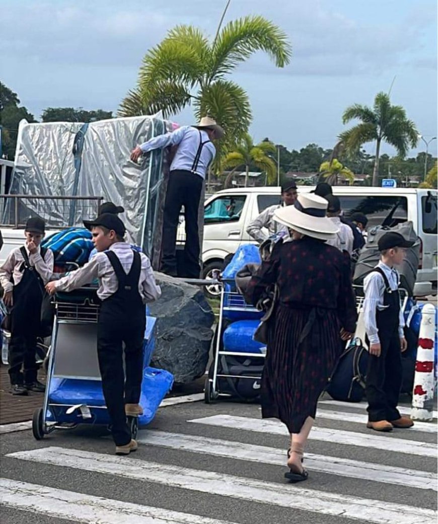 VOOR- EN NADELEN AAN DE KOMST VAN MENNONIETEN