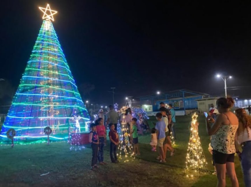 Nickerie viert feest met eigen kerstboom