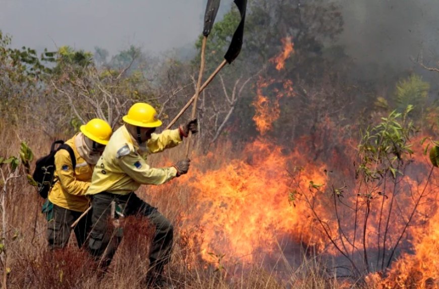 Amazonegebied in Brazilië kent hoogste aantal branden in 17 jaar