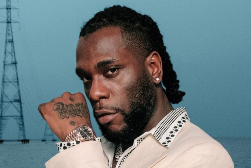 Burna Boy schopt fan van podium