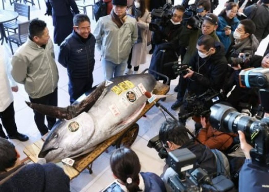 Tonijnveiling in Tokio Voorspelt Positief Jaar voor Japan