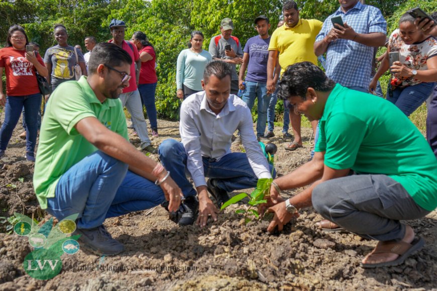 Start van Farmers Field School voor markoesateelt in Wanica