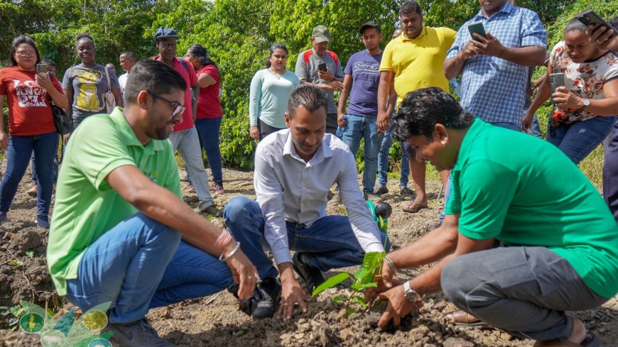 LVV zet Farmer Field School in markoesa op bij familie Soekhlal