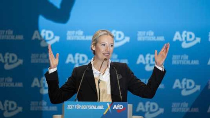 Duitse Alternative für Deutschland (AfD) kiest Alice Weidel officieel als leider bij de verki