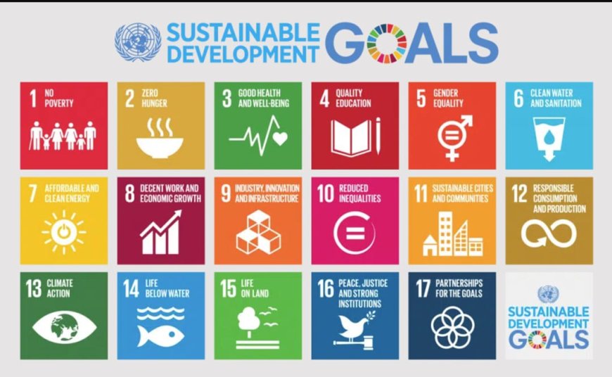 SDG Platform: ‘SDGs nog niet bij alle ministeries doorgedrongen’