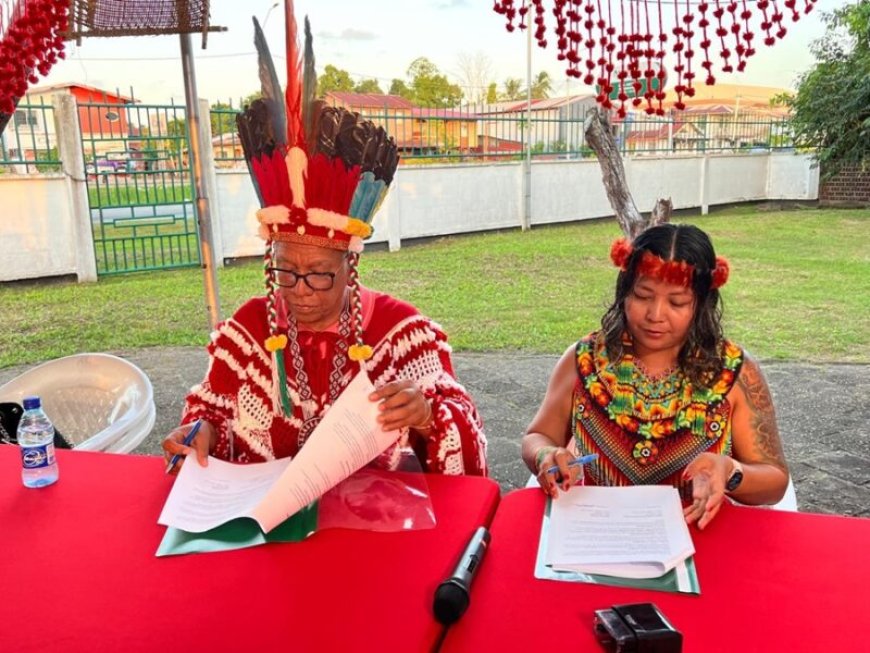 Jupta Itoewaki: ‘Strey de fu strey, wi no sa frede!’