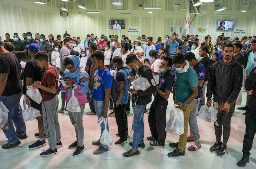 ‘Grootste deportatie operatie in Amerikaanse geschiedenis start dag na inauguratie Trump’