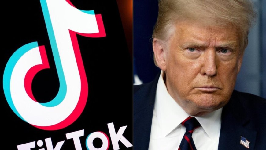 TikTok alweer actief in VS – Trump stelt verbod 90 dagen uit