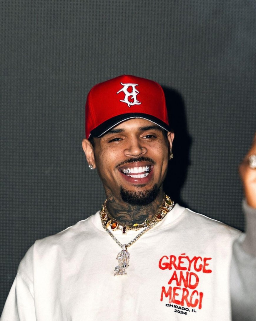 Chris Brown klaagt Warner Bros. aan voor $ 500 miljoen vanwege documentaire over misbruik