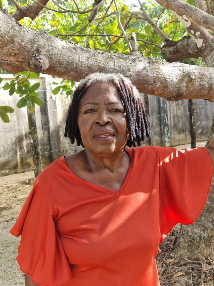 Beryl Vreden zet belangrijke stap richting hervorming bestuurlijk systeem Suriname