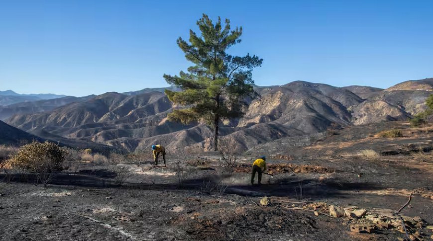 Eerste regen in Californië sinds branden zorgt mogelijk voor problemen